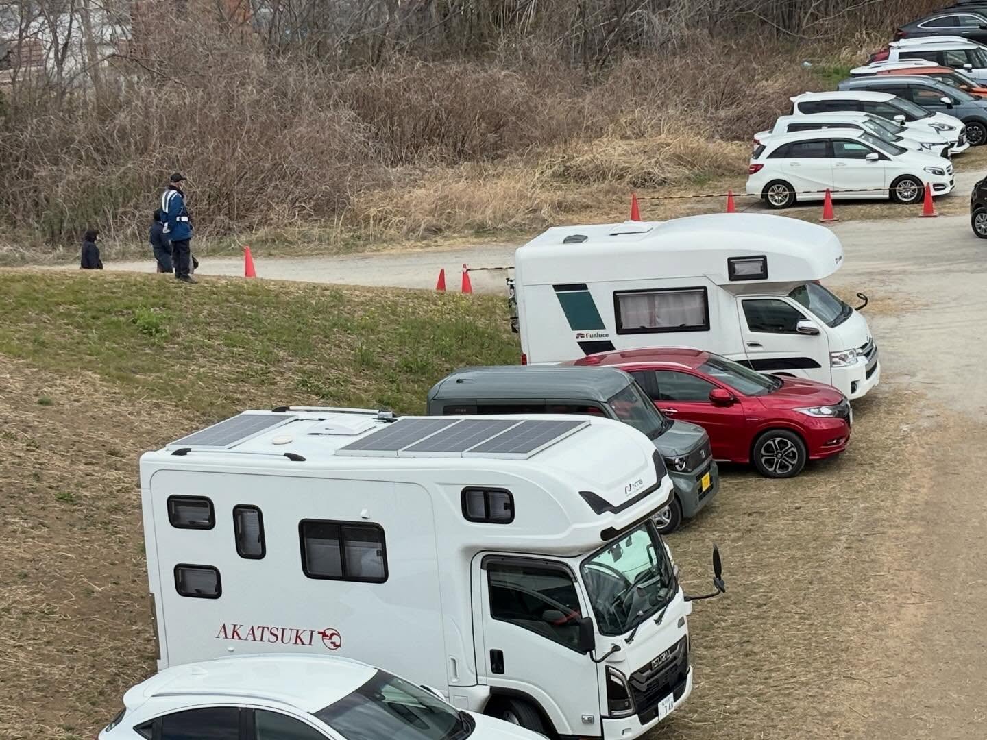 幸手權現堂櫻堤 櫻花