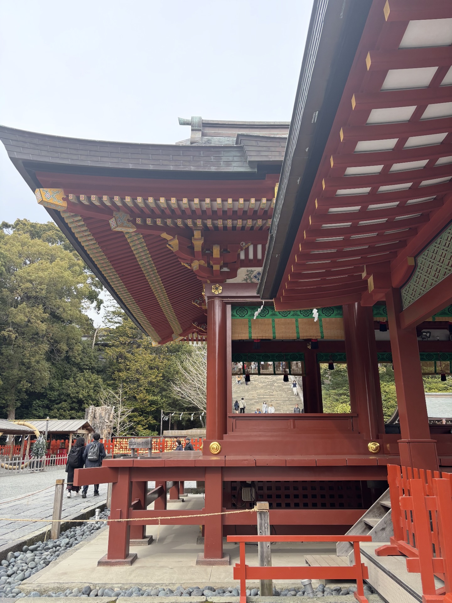 鶴岡八幡宮 櫻花